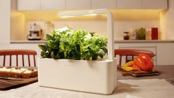 Adiós a los cuidados constantes a tus plantas con este aparato