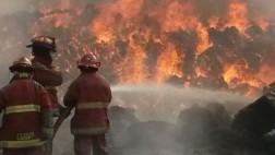 Incendio de grandes proporciones consumió depósito en Huachipa