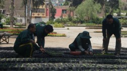 Siguen los cuestionamientos por subasta de terrenos de Serpar