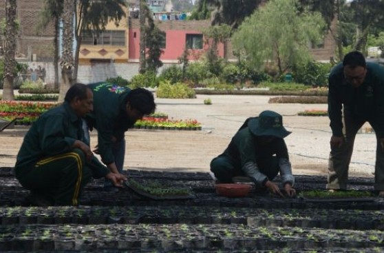 Siguen los cuestionamientos por subasta de terrenos de Serpar