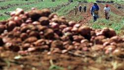 Invertirán S/.2.000 mlls. en planta de fertilizantes en Piura