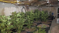 Razones para no legalizar las drogas, por Alejandro Vassilaqui