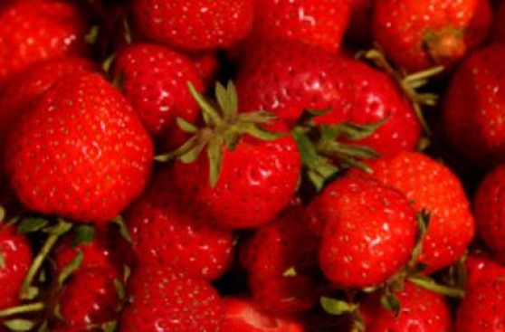 Los alimentos que están en peligro de extinción