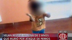 Lurín: niña habría sido violada antes de ser atacada por perros