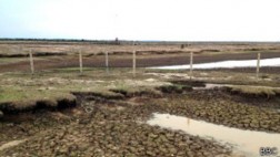 El llano colombiano que huele a animal muerto por la sequía