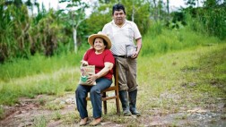 Café inmune a las plagas es la esperanza de Villa Rica