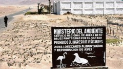 Paracas: Exigen a autoridades proteger la reserva