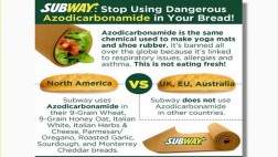 Subway elimina un ingrediente usado para hacer colchonetas