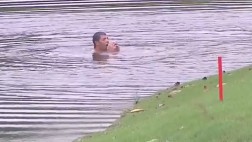 Golfista salta al agua tras ataque de avispas en pleno juego