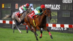 Arma tu presupuesto y aprende el arte de montar a caballo