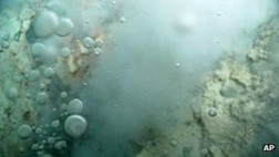 El efecto del cambio climático en la acidez de los océanos