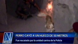 Policía rescató a perro que cayó dentro de un hoyo de 50 metros