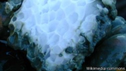 Hidrato de metano, la energía oculta en el hielo