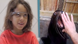 Niños de un hospital visitan zoológico a través de Google Glass