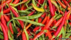 ¿Dónde nació realmente el chile casero?