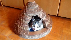 Aprende a fabricar una divertida cama para tu mascota