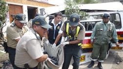 ¿Qué cambió en el reglamento de tránsito tras decreto del MTC?