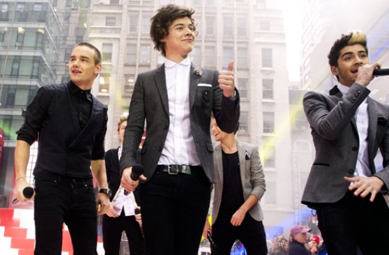 One Direction: inician campaña por 'directioner' peruana