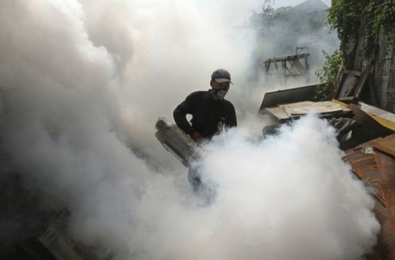 Nicaragua prepara campañas contra dengue y la leptospirosis