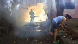 Primer estudio demuestra eficacia de vacuna contra el dengue