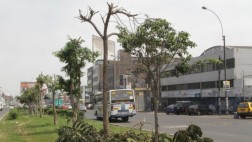 La Victoria denunciará a empresa Punto Visual por podar árboles