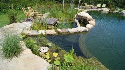 Piscinas sin químicos: Una opción para quienes aman lo natural