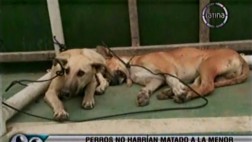 Perros no mataron a niña de dos años en Lurín