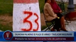 Chincha: palmeras de la Plaza de Armas amanecieron numeradas