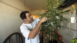 Uruguay: Así se regulará la compra de marihuana