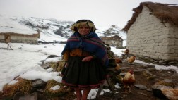 Heladas serán intensas desde hoy en ocho regiones del país