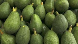 Perú vendió US$13,9 millones en paltas en el primer trimestre