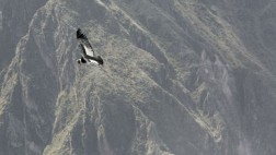 Valle del Colca: dos turistas argentinos se extraviaron