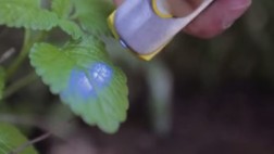 Este escáner mide las calorías y si las plantas necesitan agua
