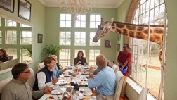 ¿Desayunar con jirafas? Conoce este original hotel en Kenia