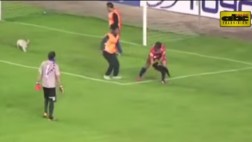 Jugador agredió a perro que se metió a la cancha