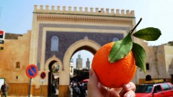 Street eats: Recorre el mundo a través de su comida