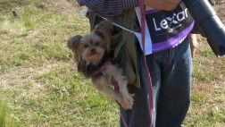 Conoce a Catalina, la tierna perrita del Mundial de Rally