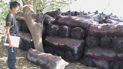 Camión trasladaba ilegalmente 15 toneladas de carbón a Olmos