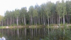 Conservación de la naturaleza, por Antonio Brack Egg