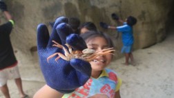 Taller busca enseñar la importancia de conservar tiburones