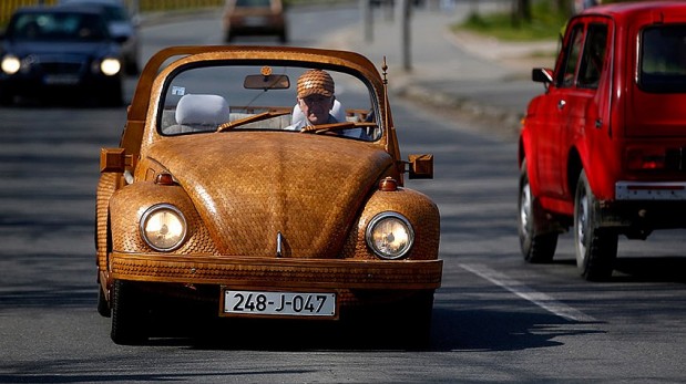 Este escarabajo de madera llama la atención de todos en Bosnia