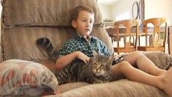 Así se recupera el niño que fue salvado por su gato en EE.UU.