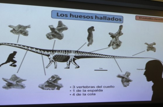 Hallan el primer dinosaurio de "Jurassic Park" sudamericano