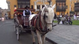 El hombre que pinta de pasado a la Plaza de Armas
