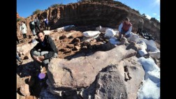 Argentina: El dinosaurio más grande jamás descubierto