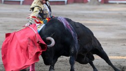Banderillas de luto para la Beneficencia, por F. de Trazegnies