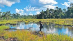 Emergencia en el río Marañón incluye parte de Pacaya Samiria