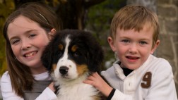 ¿Cómo saber si tu hijo está listo para una tener una mascota?