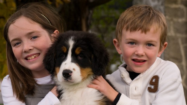 ¿Cómo saber si tu hijo está listo para una tener una mascota?