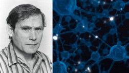 El hombre que descifró un sistema nervioso, neurona por neurona